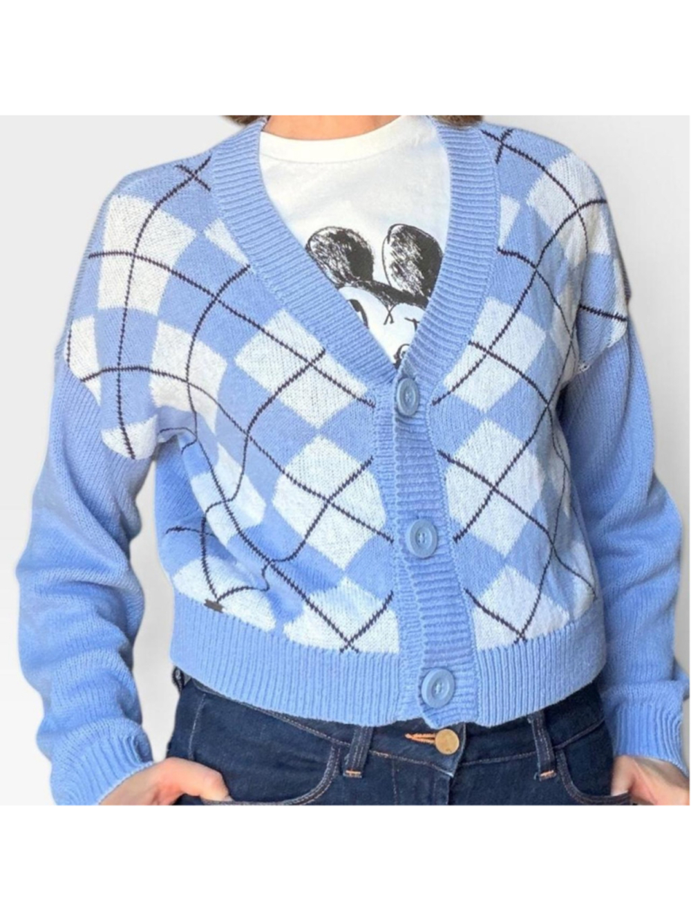 Hollister Blue Argyle Cropped Cardigan Sweater Size S Preppy Coquette Y2K

Holli